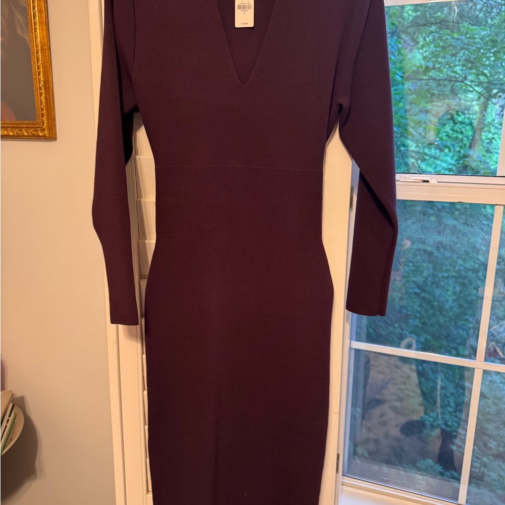 Express Plum V-Neck Long Sleeve Bodycon Dress